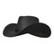 Black Cowboy Hat with Metal Stud Rim Adult Costume Accessory